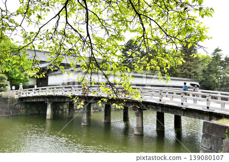 A couple crossing the Hirakawa Bridge at the Imperial Palace A couple crossing the Hirakawa Bridge at the Imperial Palace 139080107