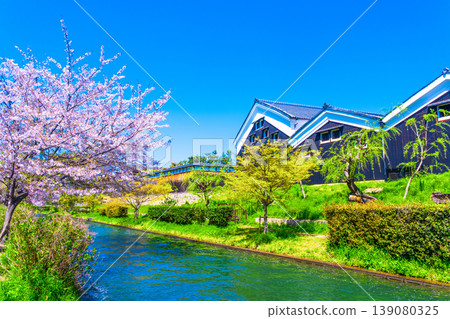 Sake breweries and cherry blossoms along the canal in Fushimi, Kyoto 139080325