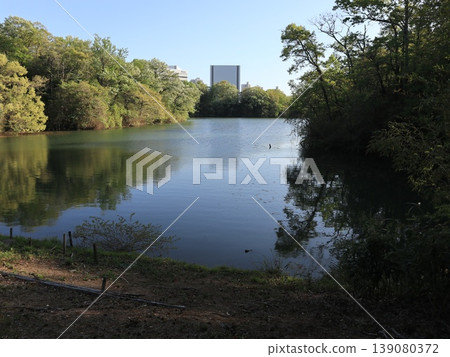 Pond in Seishin Industrial Park, surrounding area, Seishin, Kobe City, Nishi Ward Pond in Seishin Industrial Park, surrounding area, Seishin, Kobe City, Nishi Ward 139080372