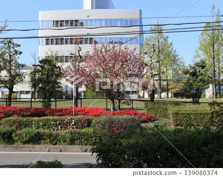 Pond in Seishin Industrial Park, surrounding area, Seishin, Kobe City, Nishi Ward Pond in Seishin Industrial Park, surrounding area, Seishin, Kobe City, Nishi Ward 139080374
