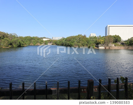 Pond in Seishin Industrial Park, surrounding area, Seishin, Kobe City, Nishi Ward 139080383