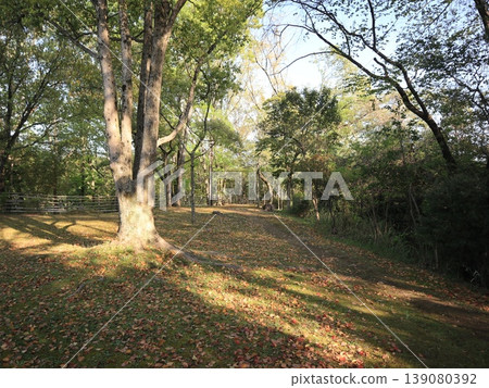 Pond in Seishin Industrial Park, surrounding area, Seishin, Kobe City, Nishi Ward 139080392