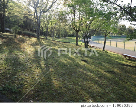 神戶市西區聖心工業園區及週邊地區的池塘 神戶市西區聖心工業園區及週邊地區的池塘 139080393