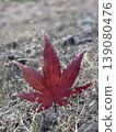 鮮紅的秋葉嵌在地裡 139080476