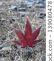 Bright red autumn leaves stuck in the ground 139080478