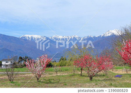 Spring Azumino and Northern Alps Spring Azumino and Northern Alps 139080820