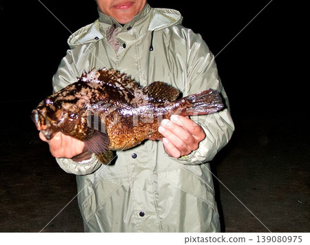 A photo of a rockfish caught while shore fishing, held in the hand. A photo of a rockfish caught while shore fishing, held in the hand. 139080975