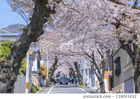 Cherry blossom tunnel in Nada Ward, Kobe City Cherry blossom tunnel in Nada Ward, Kobe City 139081432
