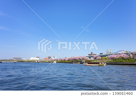 隅田公園和春天的櫻花 隅田公園和春天的櫻花 139081460