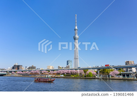 櫻花公園櫻花和東京天空樹 139081466
