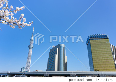 Sakura Park Sakura and Tokyo Sky Tree Sakura Park Sakura and Tokyo Sky Tree 139081470