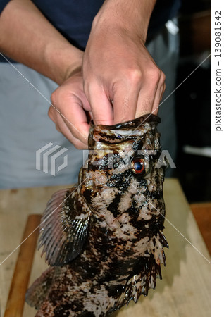 烹飪一條在岸邊釣魚時釣到的體型不錯的石斑魚。 烹飪一條在岸邊釣魚時釣到的體型不錯的石斑魚。 139081542