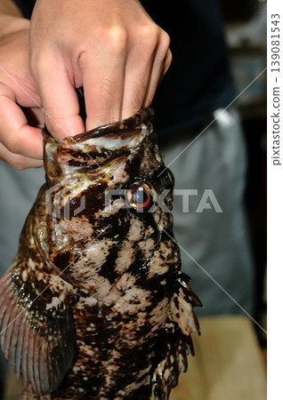 烹飪一條在岸邊釣魚時釣到的體型不錯的石斑魚。 烹飪一條在岸邊釣魚時釣到的體型不錯的石斑魚。 139081543