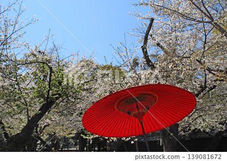 Yasukuni Shrine - Cherry blossoms within the shrine grounds Yasukuni Shrine - Cherry blossoms within the shrine grounds 139081672