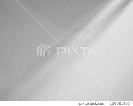 Shadow Background Abstract Leave Overlay Wall Floor Light Effect White Plant Sunlight Backdrop Mockup Minimal Spring Summer Nature Grey blur Photography Scene Template Poster Card Frame Product. 139081893