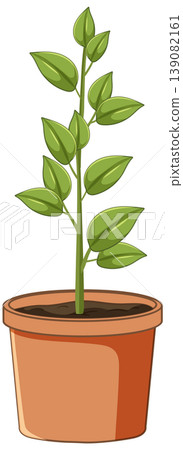 Young Green Plant Growing in Terracotta Pot 139082161