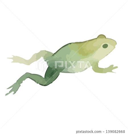 Watercolor style frog illustration 139082668