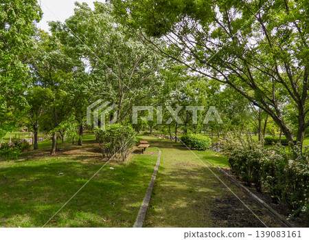 鬱鬱蔥蔥的夏季公園裡的步道 鬱鬱蔥蔥的夏季公園裡的步道 139083161