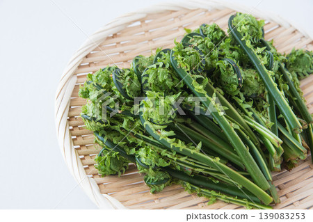 Fiddlehead ferns served in a basket Fiddlehead ferns served in a basket 139083253