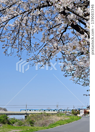 Railway: Private railway - Tobu Noda Line - 80000 series train crossing the Motoarakawa River. 139083346