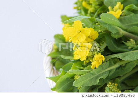 Nozawana (Japanese mustard greens) stems Nozawana (Japanese mustard greens) stems 139083456