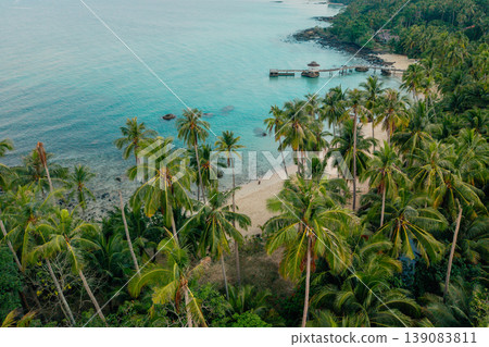 Aerial view of a beautiful tropical island coastline with clear turquoise water, white sand beach, and lush green palm trees. Aerial view of a beautiful tropical island coastline with clear turquoise water, white sand beach, and lush green palm trees. 139083811