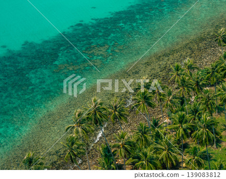 Aerial view of a beautiful tropical island coastline with clear turquoise water, white sand beach, and lush green palm trees. Aerial view of a beautiful tropical island coastline with clear turquoise water, white sand beach, and lush green palm trees. 139083812