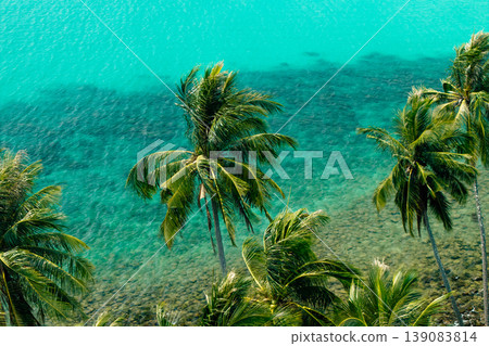Aerial view of a beautiful tropical island coastline with clear turquoise water, white sand beach, and lush green palm trees. 139083814