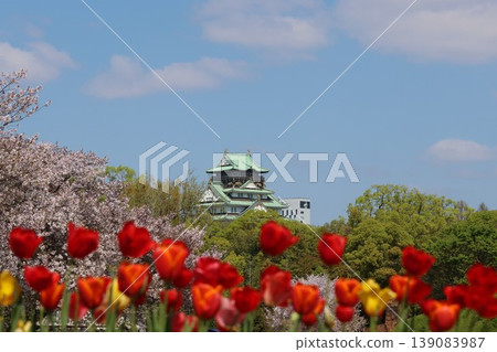 從春日公園的鬱金香花壇眺望城堡塔樓。 從春日公園的鬱金香花壇眺望城堡塔樓。 139083987