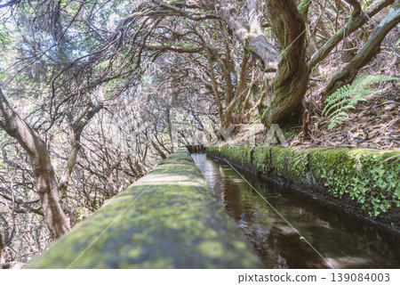 water way at Madeira 139084003