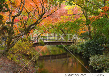 Autumn Yufuin Autumn Yufuin 139084470