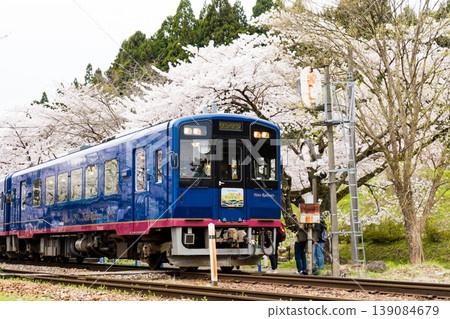 A train departing amidst cherry blossoms in full bloom in spring | Noto Sakura Station | Noto Kashima Station | Noto Railway Nanao Line | Sightseeing train | Anamizu Town, Ishikawa Prefecture A train departing amidst cherry blossoms in full bloom in spring | Noto Sakura Station | Noto Kashima Station | Noto Railway Nanao Line | Sightseeing train | Anamizu Town, Ishikawa Prefecture 139084679