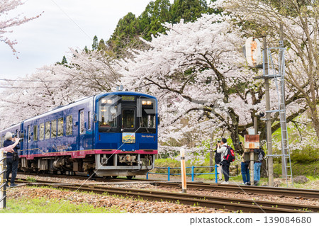A train departing amidst cherry blossoms in full bloom in spring | Noto Sakura Station | Noto Kashima Station | Noto Railway Nanao Line | Sightseeing train | Anamizu Town, Ishikawa Prefecture A train departing amidst cherry blossoms in full bloom in spring | Noto Sakura Station | Noto Kashima Station | Noto Railway Nanao Line | Sightseeing train | Anamizu Town, Ishikawa Prefecture 139084680