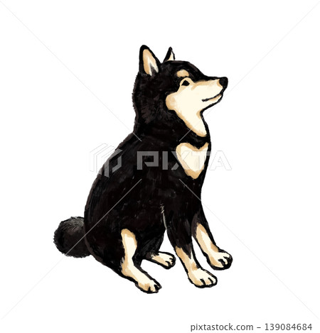 A black Shiba Inu sitting politely. 139084684