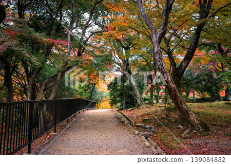 Autumn Scenery at Arashiyama Park Kameyama Area Nov 24 2025 Autumn Scenery at Arashiyama Park Kameyama Area Nov 24 2025 139084882