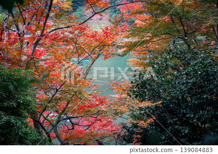 Scenic Street View of Arashiyama Residential Area Kyoto Nov 24 2025 Scenic Street View of Arashiyama Residential Area Kyoto Nov 24 2025 139084883