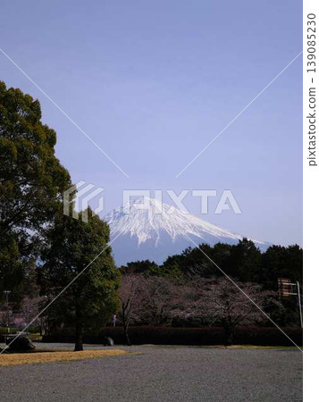 太石寺和富士山 太石寺和富士山 139085230