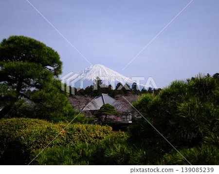 Taisekiji Temple and Mount Fuji 139085239