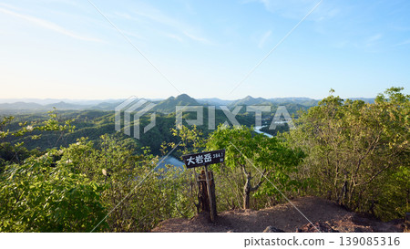 大岩岳 139085316
