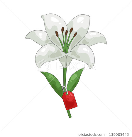 Illustration of white lily flower with a price tag Illustration of white lily flower with a price tag 139085443