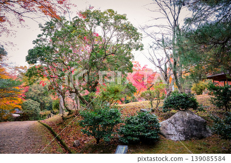 Autumn Scenery at Arashiyama Park Kameyama Area Nov 24 2025 Autumn Scenery at Arashiyama Park Kameyama Area Nov 24 2025 139085584