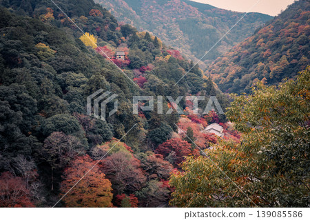 A Scenic View of Arashiyama Kitamatsuoyama Hills Nov 24 2025 139085586