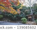 Autumn Scenery at Arashiyama Park Kameyama Area Nov 24 2025 139085602