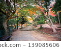 Autumn Scenery at Arashiyama Park Kameyama Area Nov 24 2025 139085606