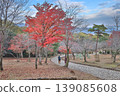 Autumn Scenery at Arashiyama Park Kameyama Area Nov 24 2025 139085608