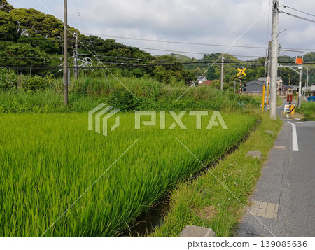Rural landscapes of Boso Peninsula and Japanese country roads with railway crossings Rural landscapes of Boso Peninsula and Japanese country roads with railway crossings 139085636