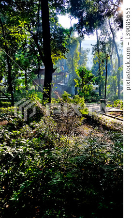 beautiful tropical scenery with morning sunlight 139085655