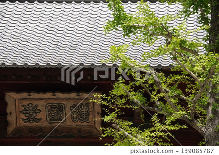 The plaque above the main gate of Gokoku-ji Temple and the fresh green ginkgo trees, Bunkyo Ward, Tokyo. The plaque above the main gate of Gokoku-ji Temple and the fresh green ginkgo trees, Bunkyo Ward, Tokyo. 139085787