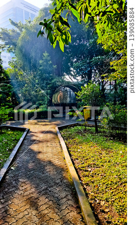 beautiful tropical scenery with morning sunlight beautiful tropical scenery with morning sunlight 139085884