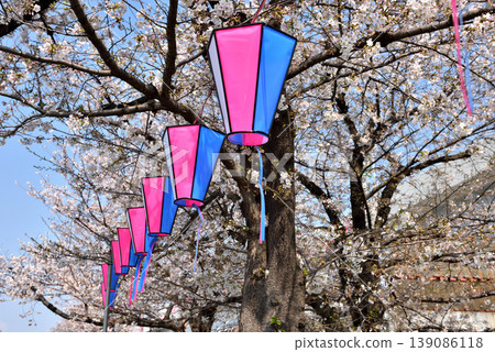 Cherry blossom lanterns displayed along the Sumida River during the cherry blossom festival. Cherry blossom lanterns displayed along the Sumida River during the cherry blossom festival. 139086118